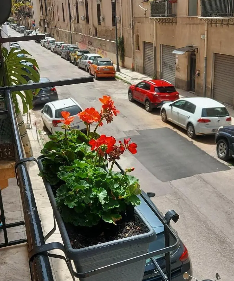 Appartamento Civico 67 Palermo